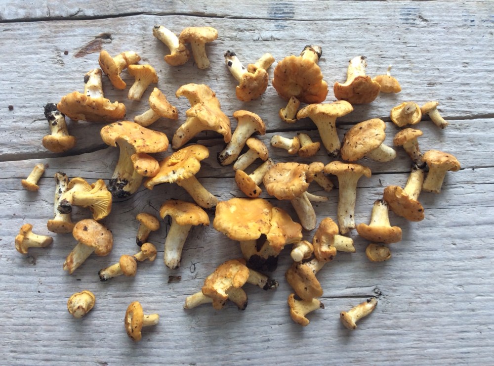 heike makatsch IMG_0773