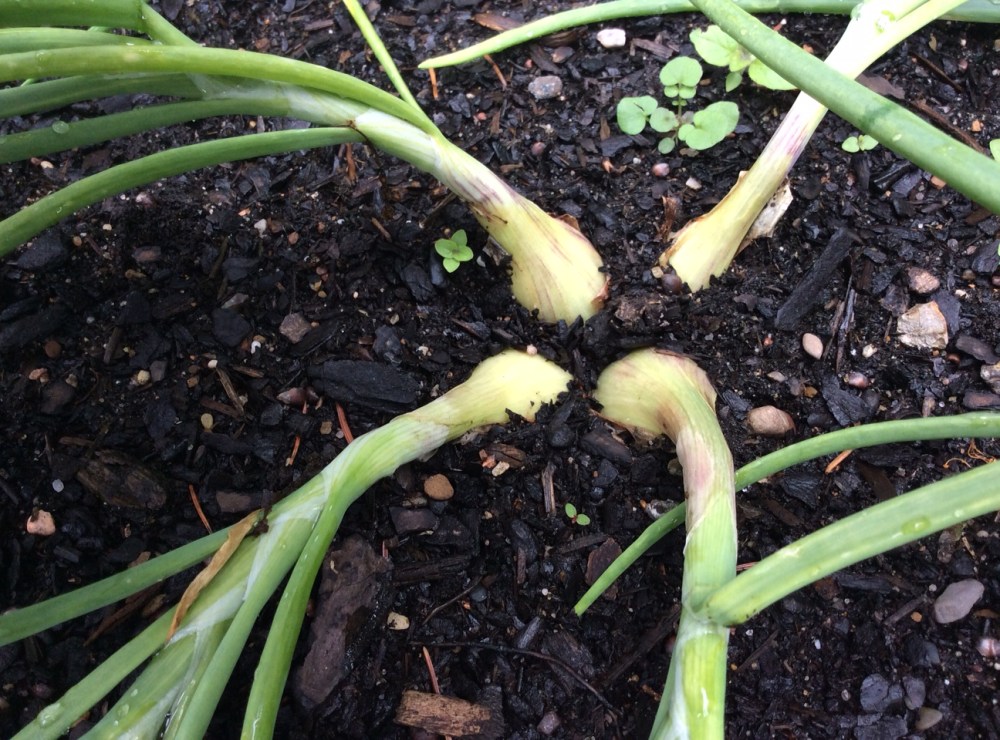 heike makatsch IMG_0812