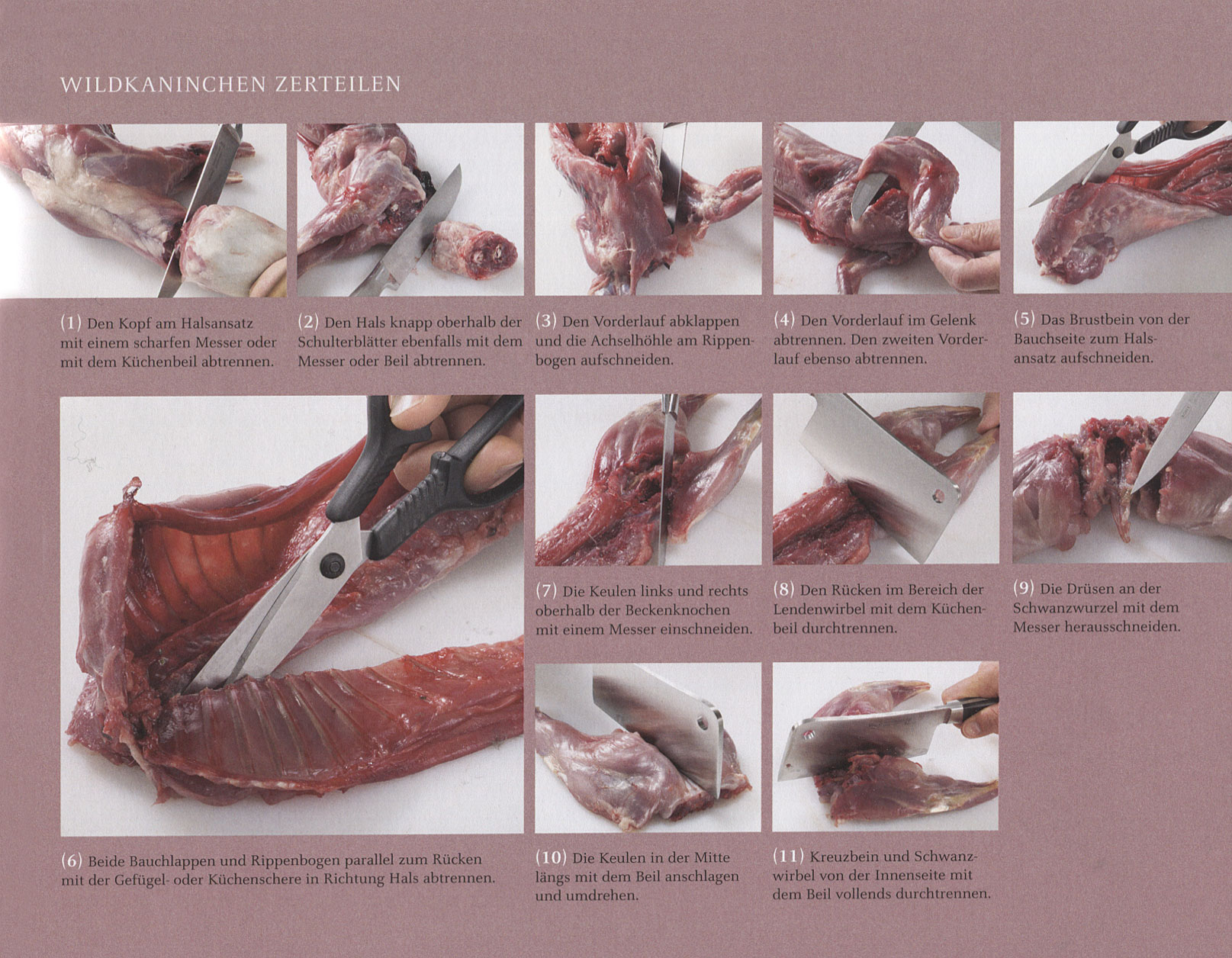 warenkunde_wildkaninchen