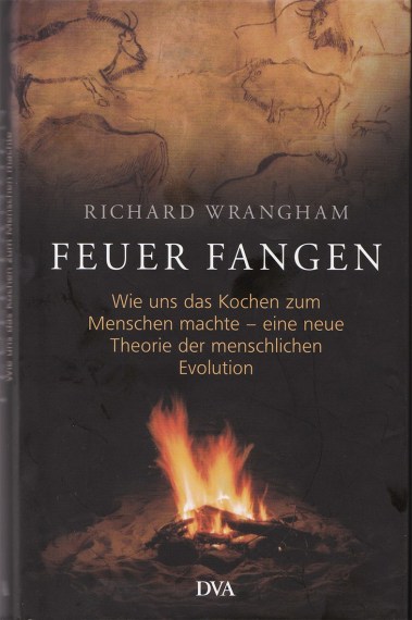Feuer fangen