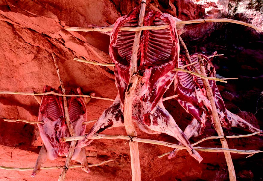 095_Lamm, Zicklein und Spanferkel am Spieß_02