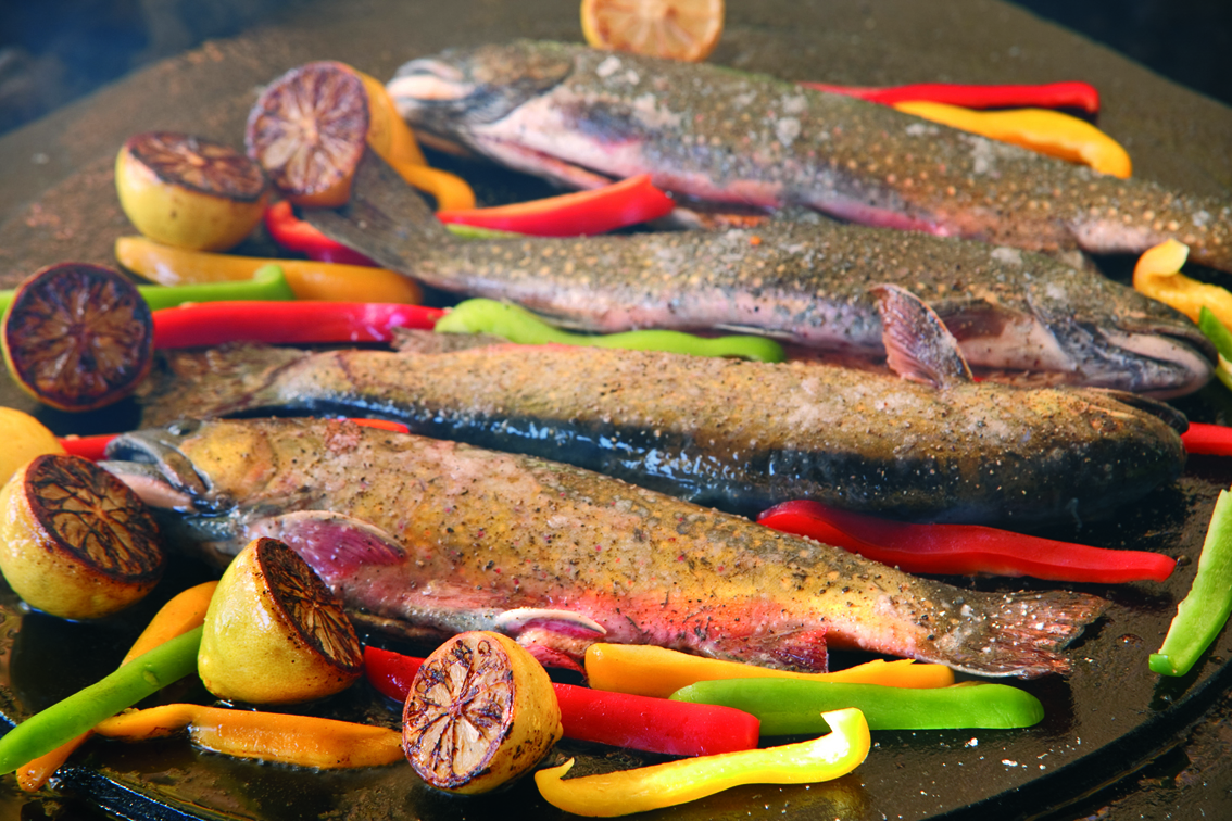 ode-an-die-forelle-4