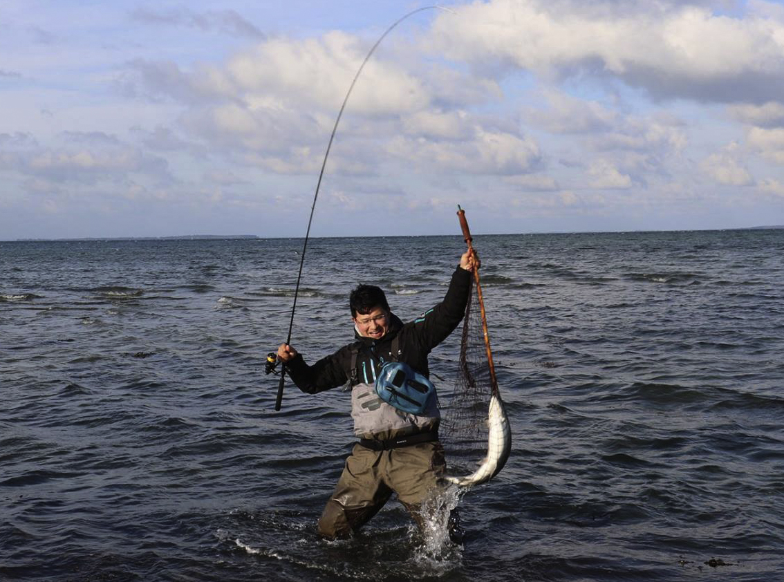 brandungsangeln-meerforelle-2