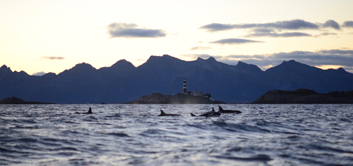 Foto von Morten_A Stroksnes