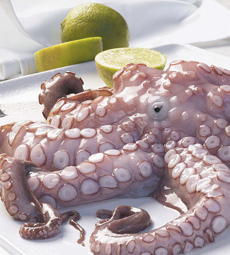 kraken-kuchenpraxis-11