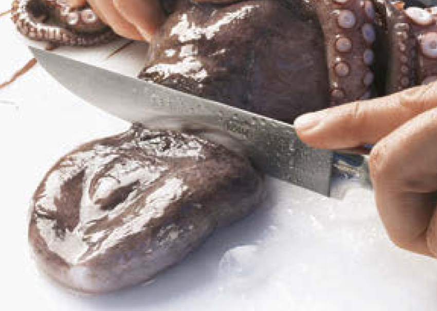 kraken-kuchenpraxis-12