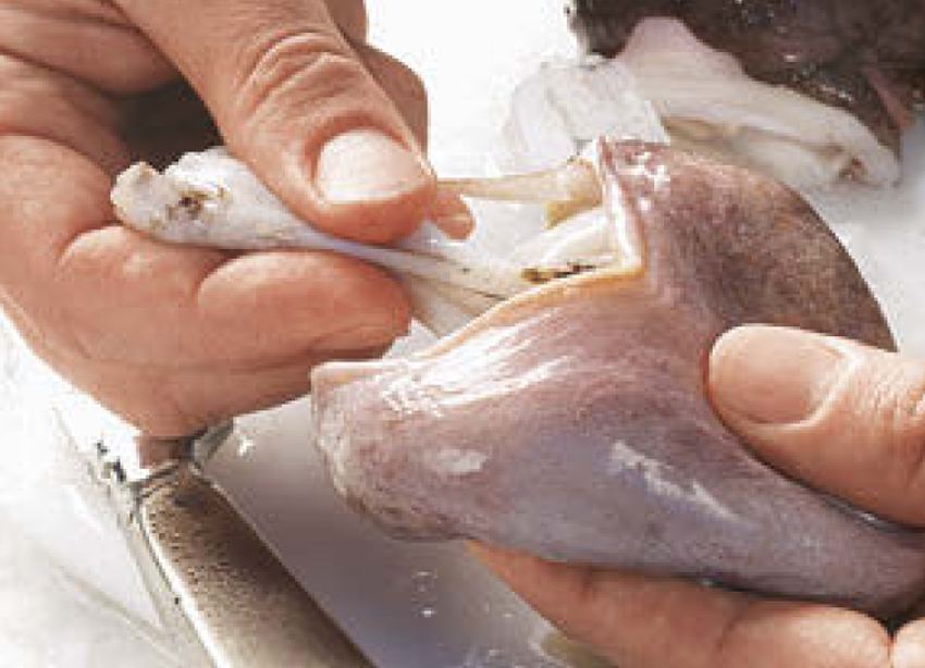 kraken-kuchenpraxis-13