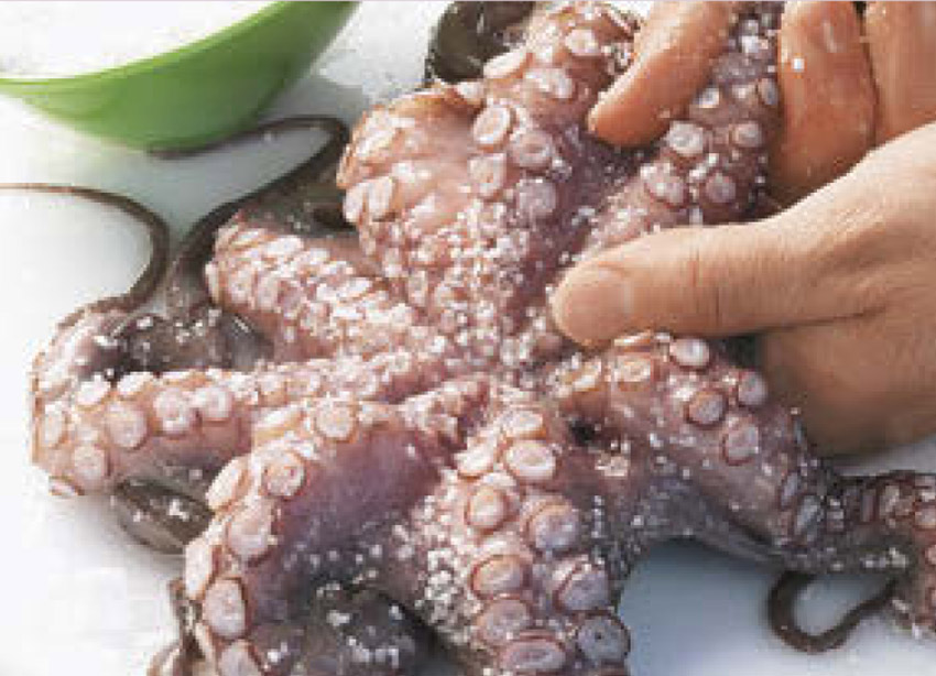 kraken-kuchenpraxis-17