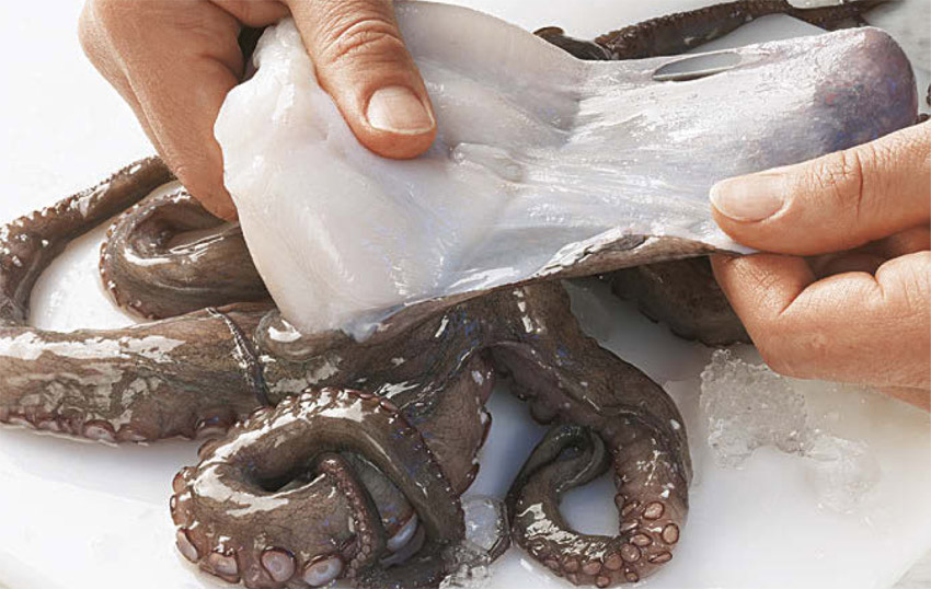 kraken-kuchenpraxis-18