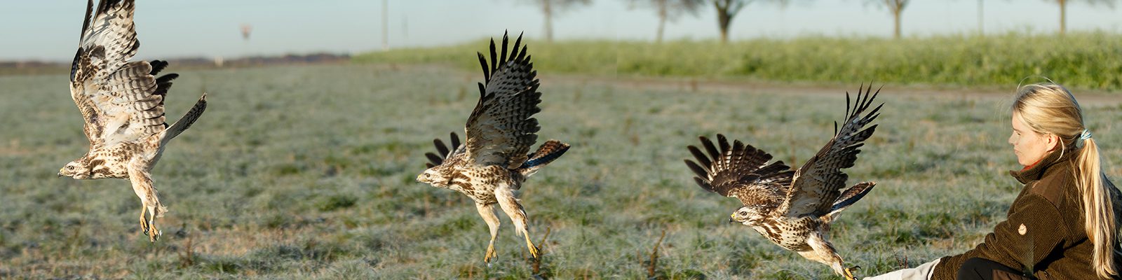 slider_bussard-1600x400