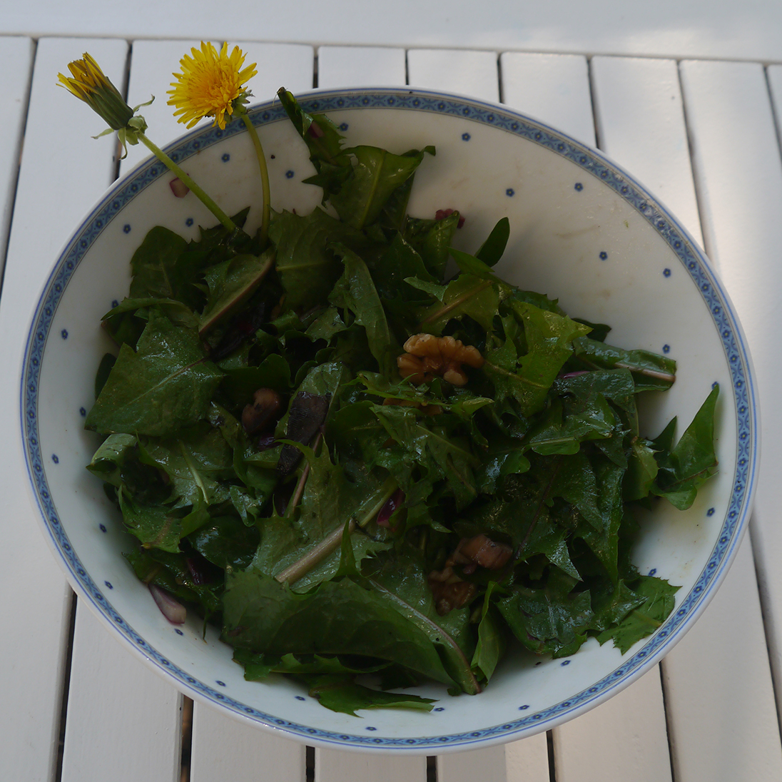 Löwenzahn-Salat 2