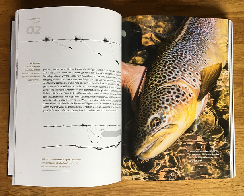 Nymphenfischen S.076
