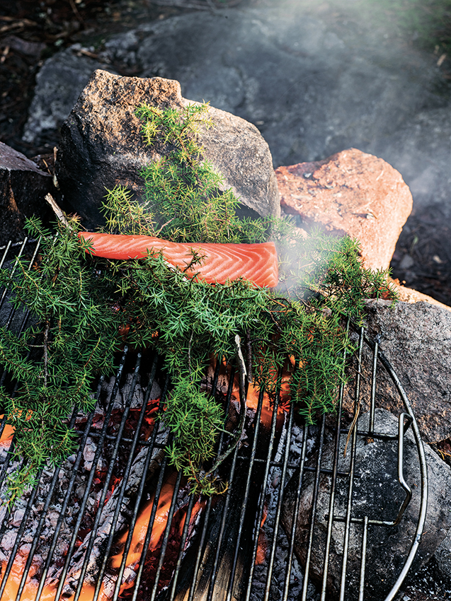 Wacholder geräuchterter Lachs