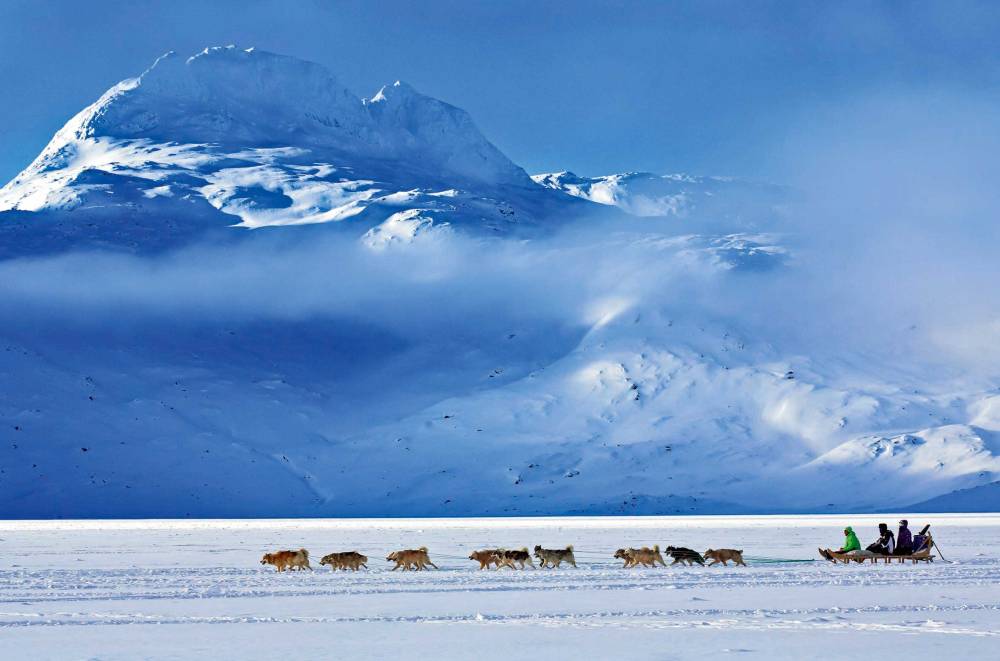 Schlittenhunde OstgrÃ¶nland