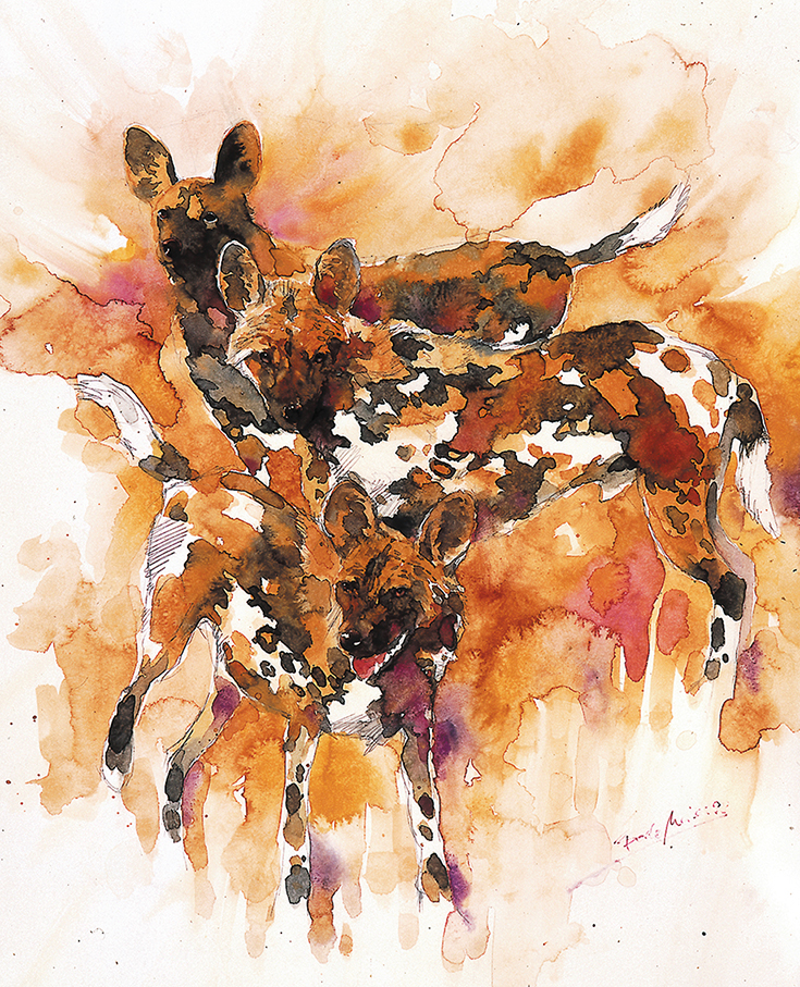 Afrikanische Wildhunde Grafik