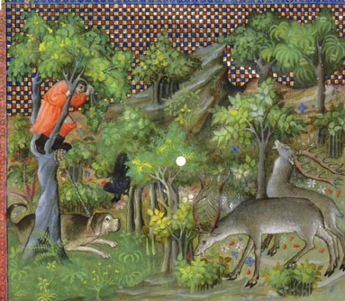 Jagd Mittelalter Baum