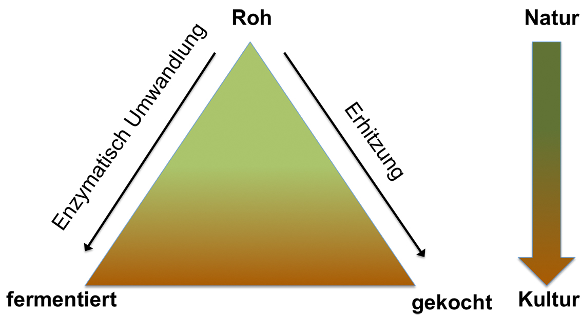 kulinarisches-dreieck