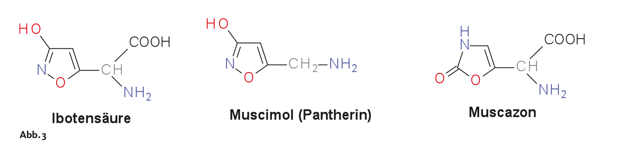 Guthmann, Heilende Pilze
