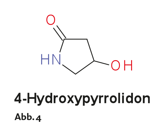 Guthmann, Heilende Pilze