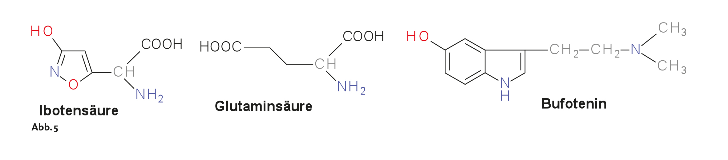 Guthmann, Heilende Pilze