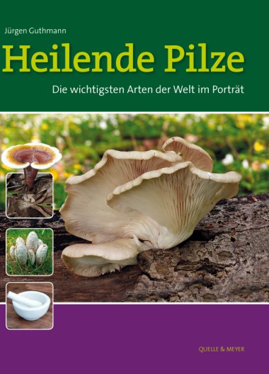 Guthmann, Heilende Pilze