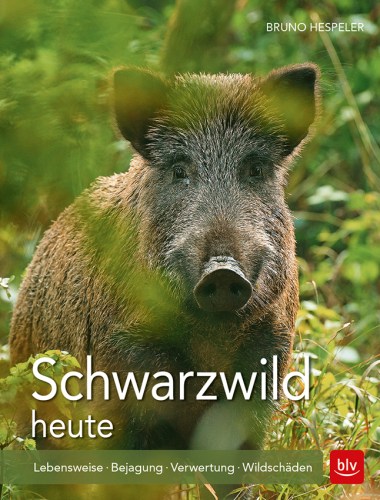 1802_Schwarzwild_191017.indd