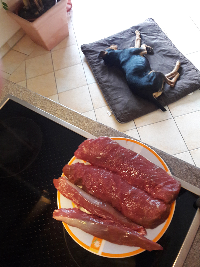 20180623_094846_Schwarzkittel grillen