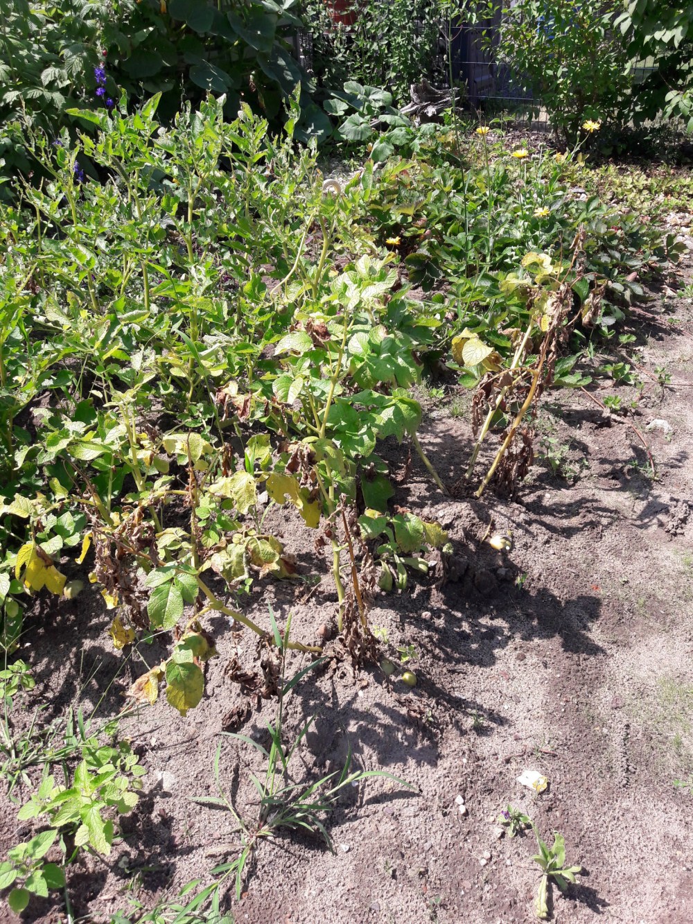 20180716_123712_resized