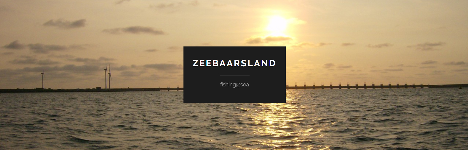 zebaarsland-1