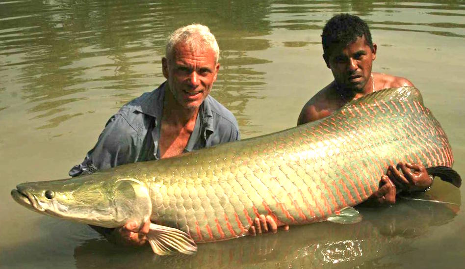 river-monsters