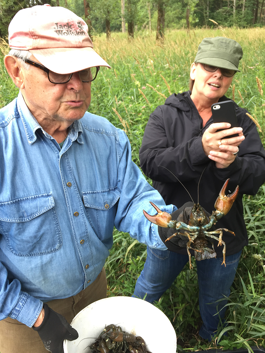 Flusskrebse fangen 03
