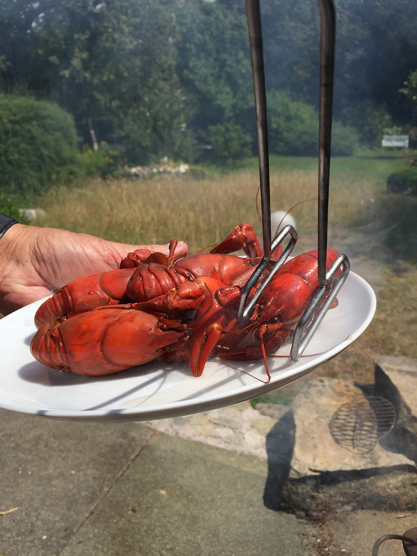 Flusskrebse fangen 05