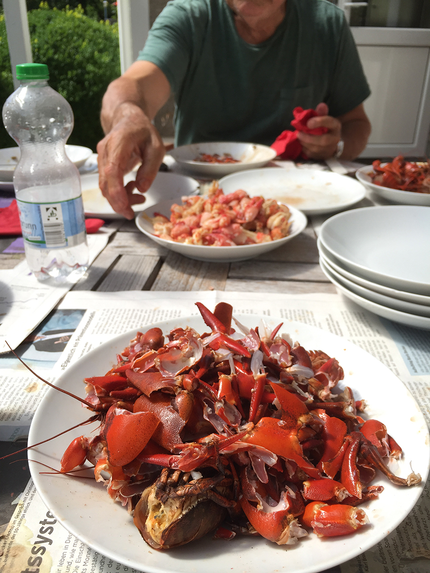 flusskrebse fangen 06