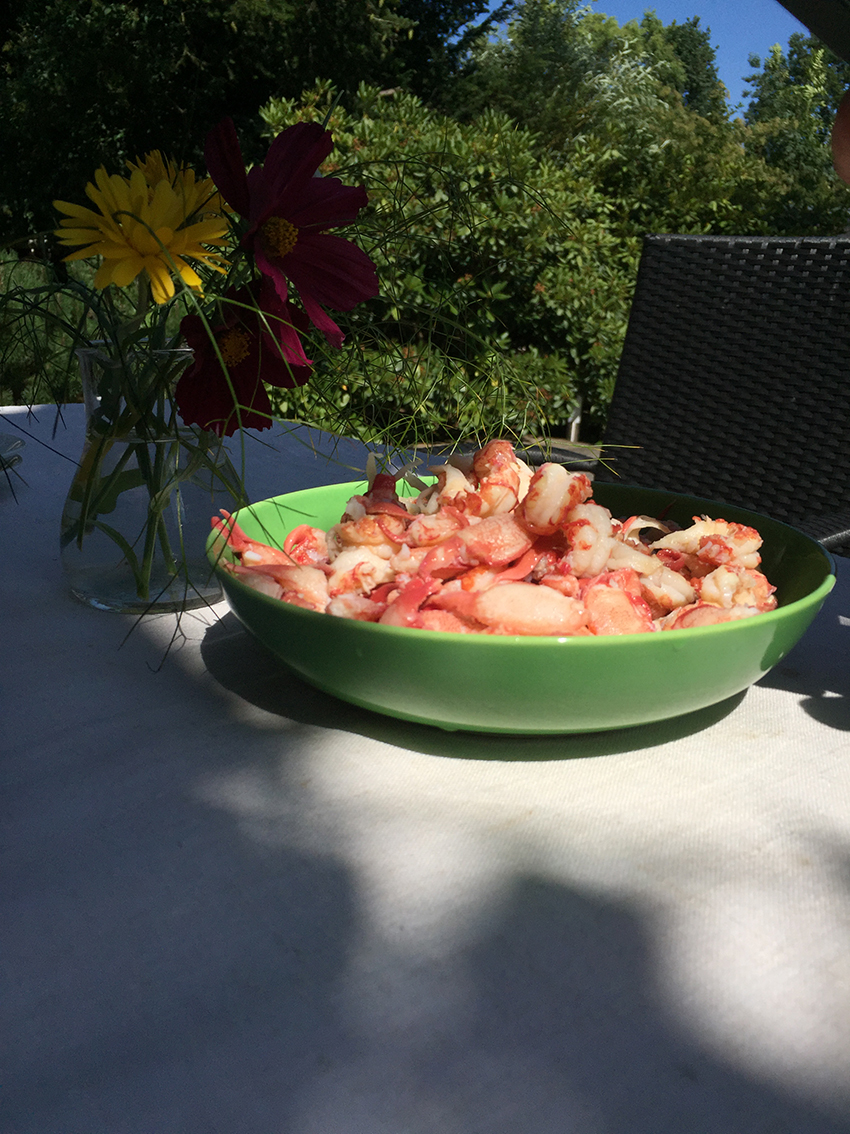 flusskrebse fangen 07