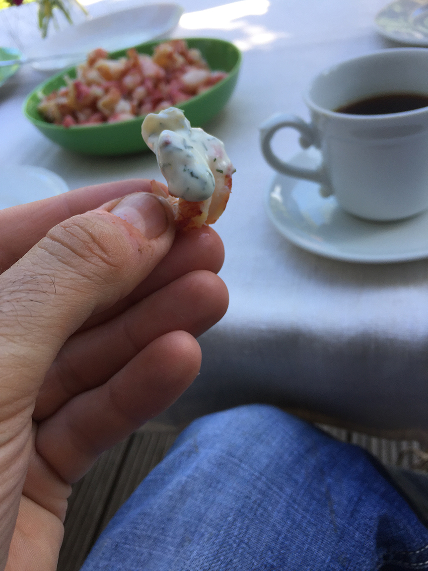 flusskrebse fangen 08