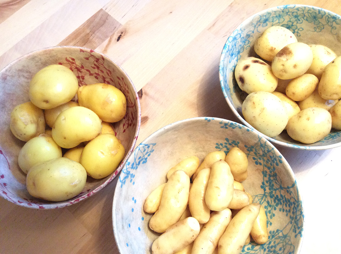 Kartoffeln 012