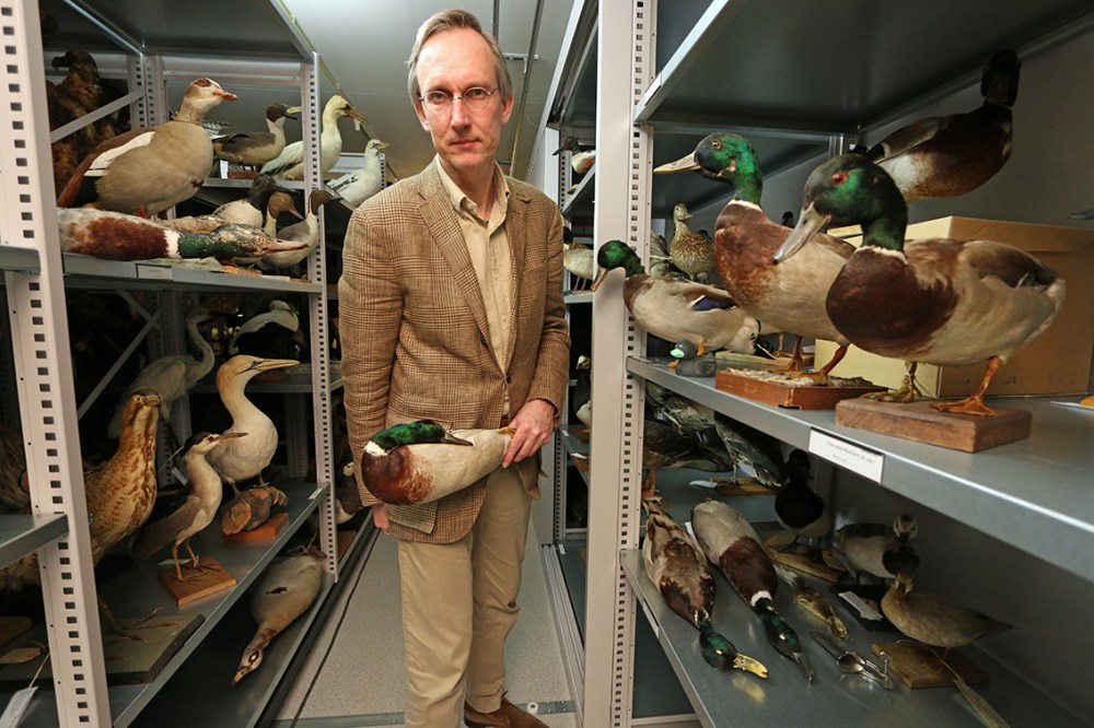 Der Entenmann_Kees Moeliker_Edel Books_Pressebild_© Naturhistorisches Museum Rotterdam