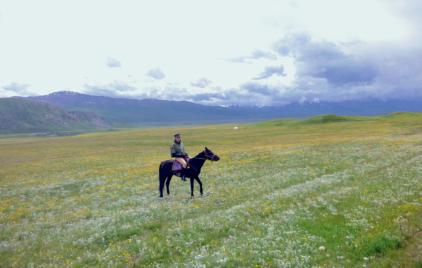 Reiter Wiesen voller Edelweiss