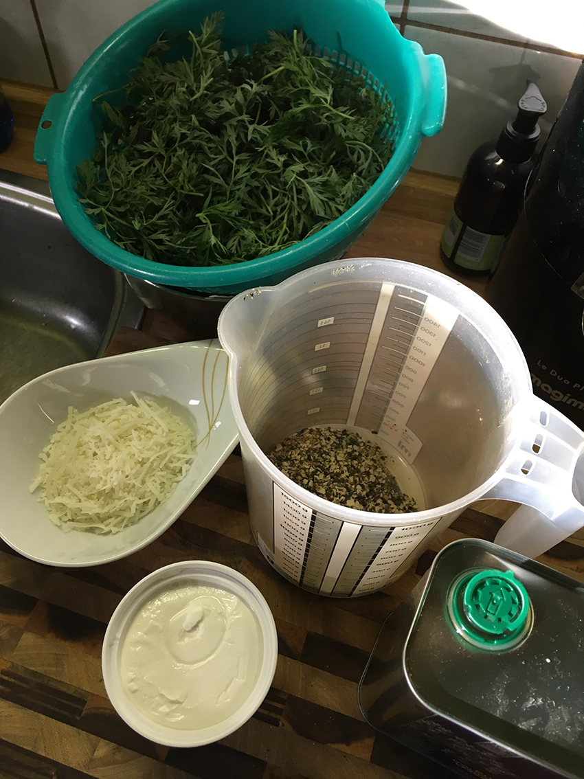 Möhrengrün-Pesto 1