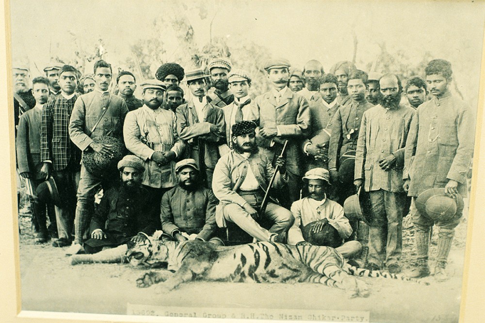 03_8 tigerjagd indien