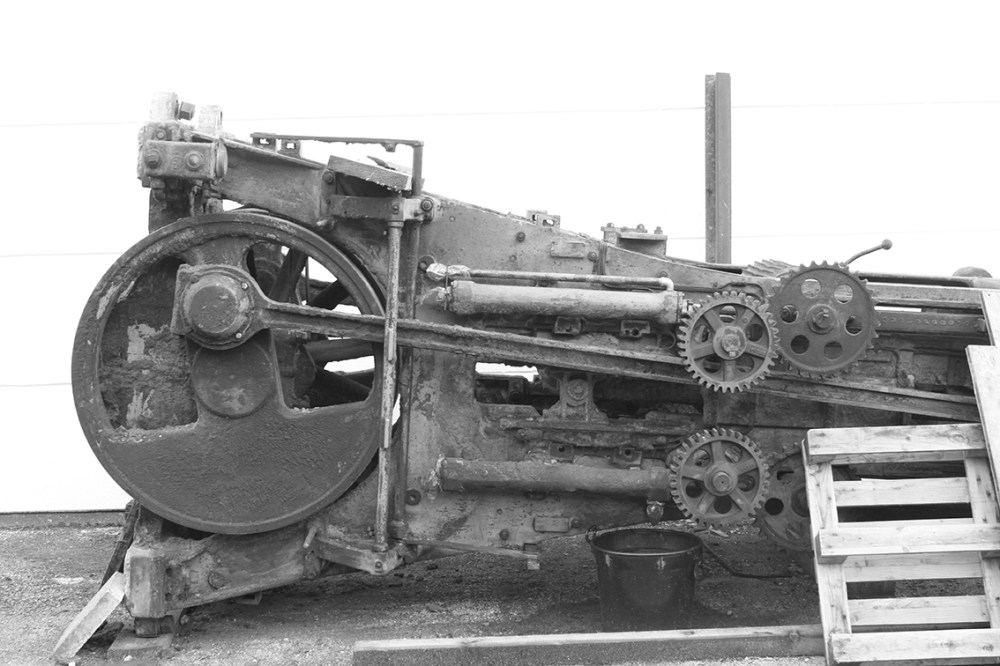 Geschmorte Wildschweinkeule Trockenfrüchte 2