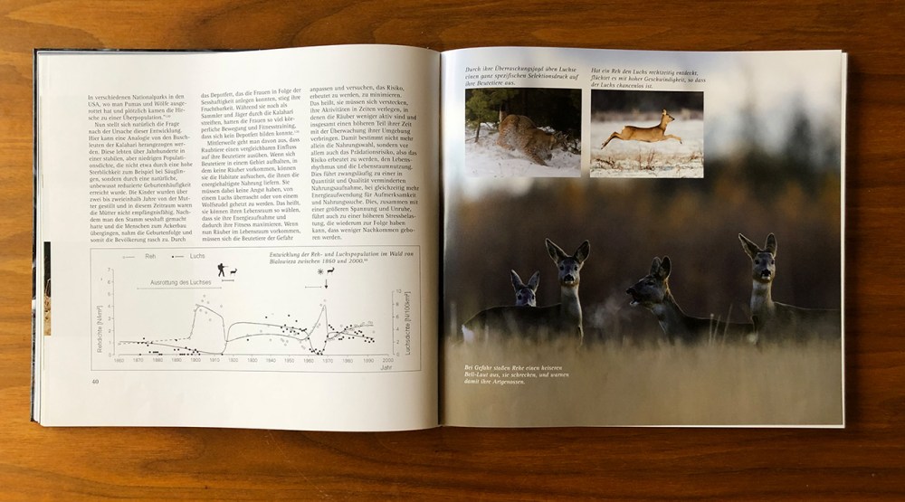 der luchs pinselohr_0157