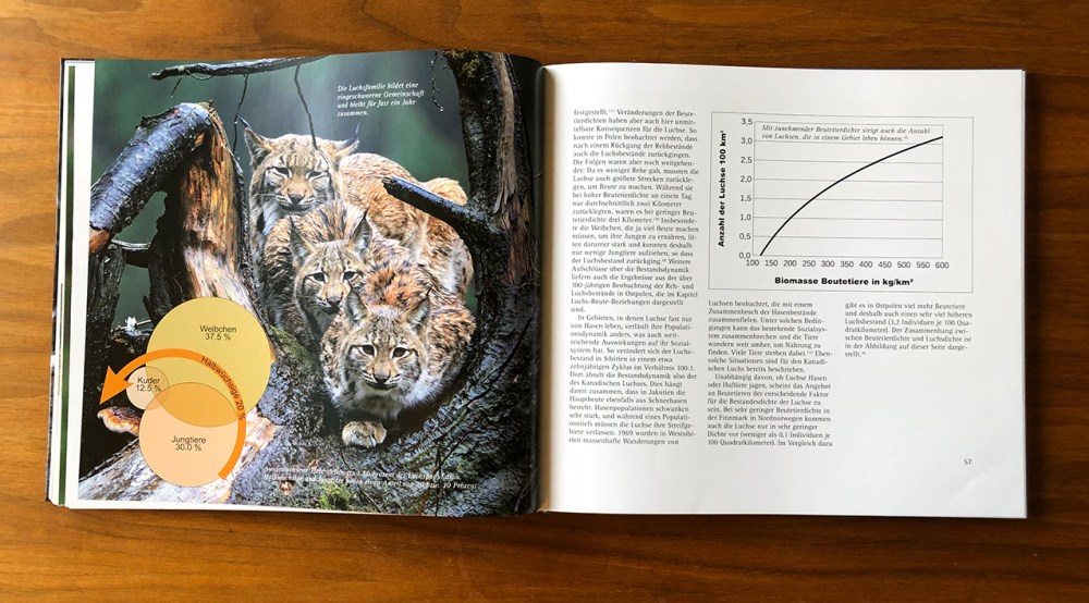 der luchs pinselohr_0158