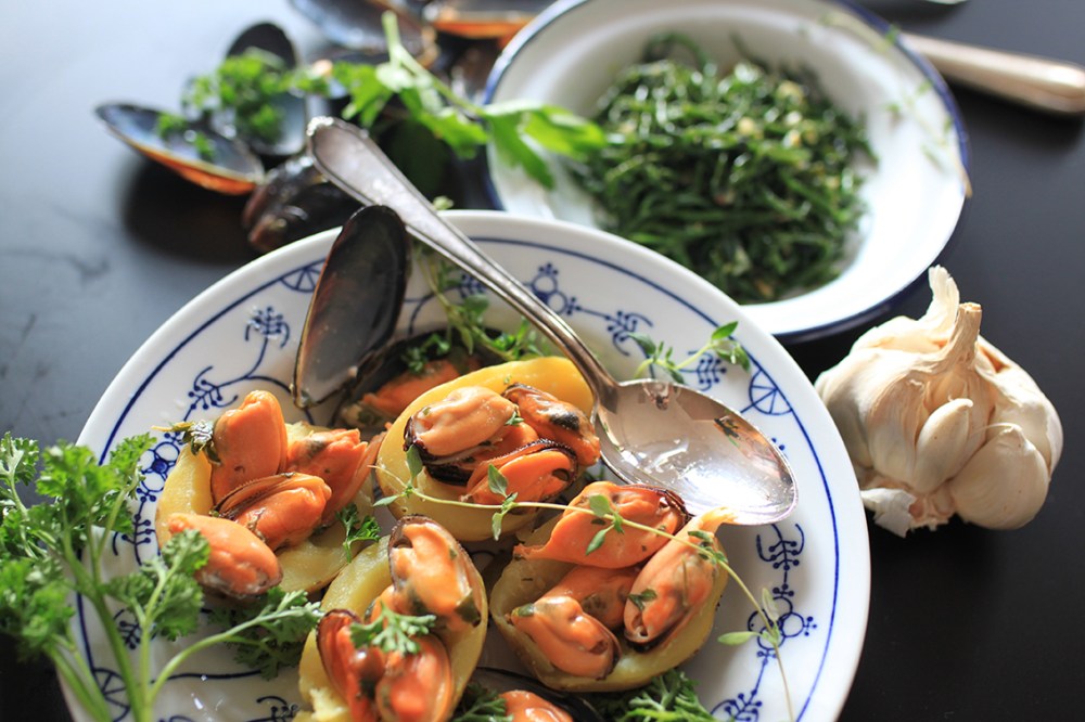 muscheln bretagne_6053