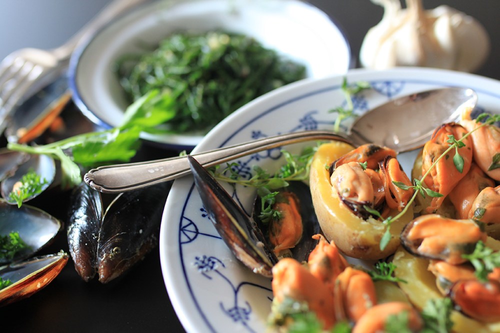 muscheln bretagne_6058