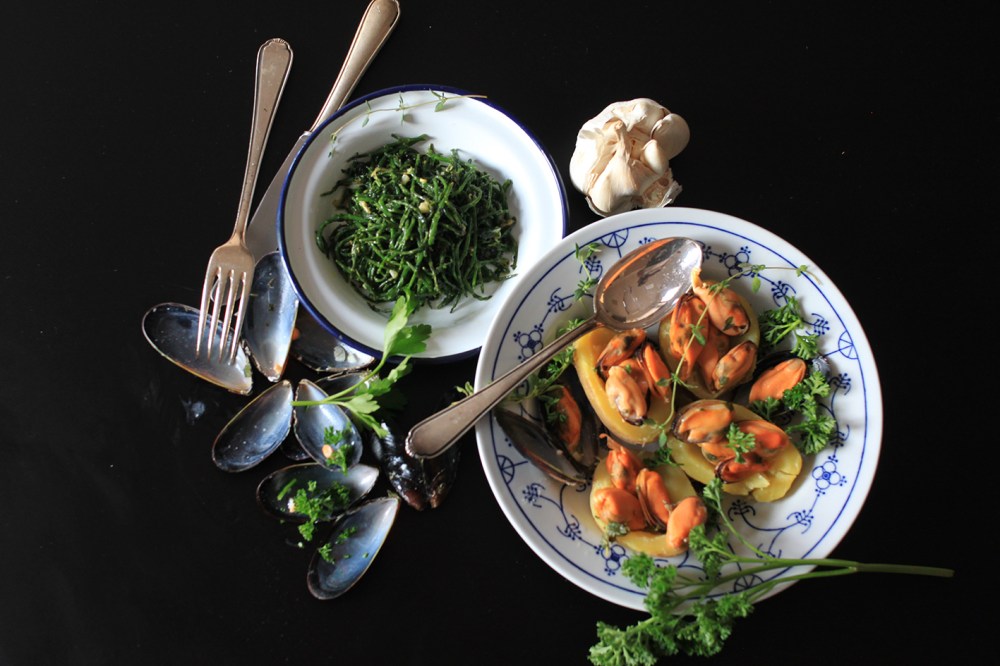 muscheln meeresspargel bretagne_6067