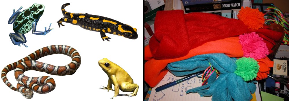 warnfarben gifttiere