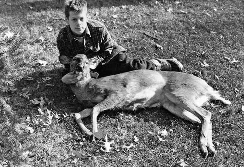 steven rinella deer